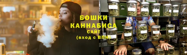 прущие крисы Белокуриха