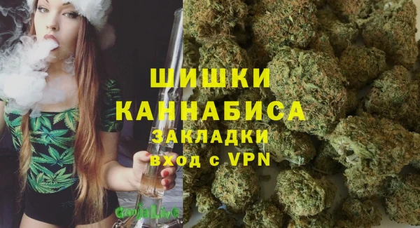 2c-b Богородск