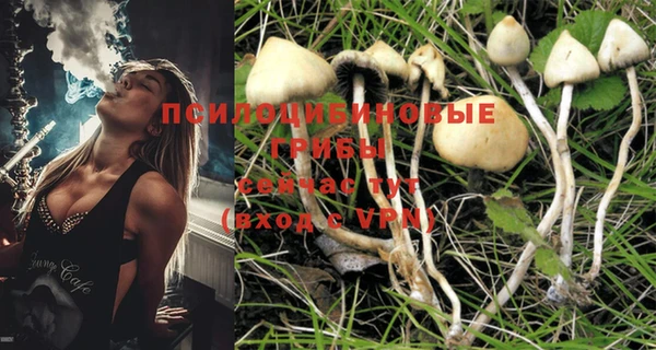 MDMA Premium VHQ Богородицк