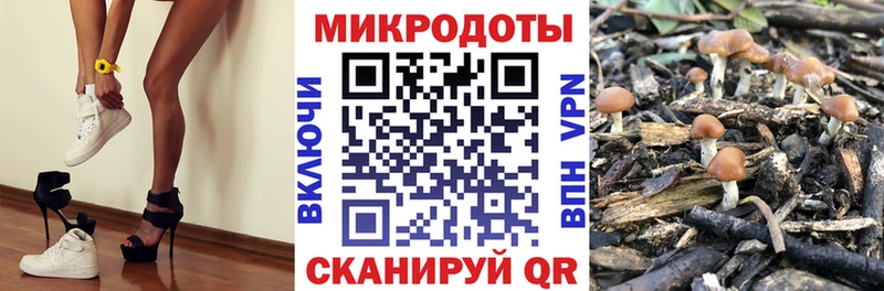 Галлюциногенные грибы Psilocybine cubensis  Нижнекамск 